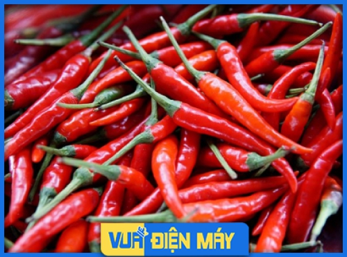 Bảo quản rau trong tủ lạnh như thế nào để luôn được tươi xanh?
